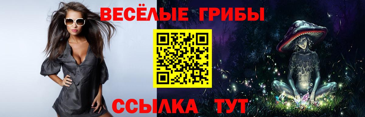 Галлюциногенные грибы Magic Shrooms  Вход с VPN  Вичуга 